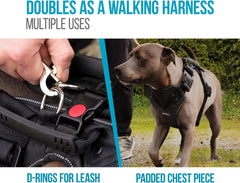 Sherpa Crash-Tested Multipurpose Seatbelt Dog Harness - Black, Small