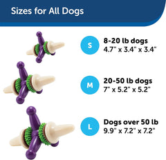 PetSafe Busy Buddy Treat Holding Jack Dog Toy – Strong Chewers - Challenging - Treat Rings Included
