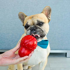 Nylabone Treatin' Cone Strong Stuffable Chew Toy for Dogs, Natural Rubber Fillable Treat Toy, Treat Dispensing Dog Toy, Bacon Flavor