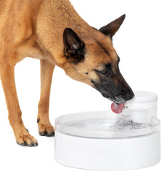 PetSafe Outlast Pumpless Cat & Dog Water Fountain