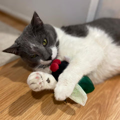 SPOT Ethical Products Buzzing Insects 5" Assorted