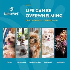 NaturVet Scoopables Quiet Moments Dog Calming Aid for Dogs - Promotes Calm with Stressful Events Like Storms, Fireworks, Travel, Separation Anxiety - Hickory Smoked Bacon Flavored