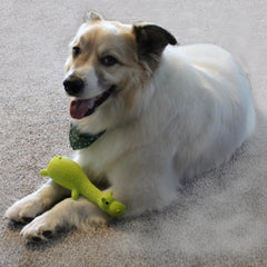 Spot Latex Animals Dog Toy Assorted, 1ea