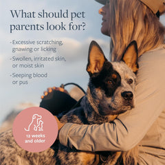 Veterinary Formula Clinical Care Hot Spot & Itch Relief Medicated Spray – Easy to Use Spray for Dogs & Cats – Helps Alleviate Sensitive Skin, Scratching, and Licking of Coat (1 Pack)