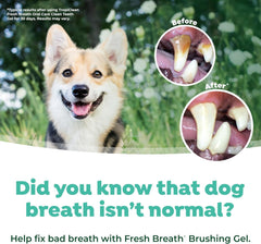 TropiClean Fresh Breath No Brush Total Care Kit | Dog Dental Hygiene|