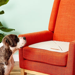 X-Mat Mammoth Original Pet Training Aid 18" Long x 18" Wide