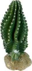 Multi Pet 48593320: Komodo Cactus Plant Columnar, 5.9In