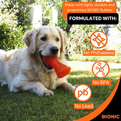 BIONIC Bone Dog Toy, Large - Interactive Dog Chew Toy That Stands Up to The Toughest Chewers