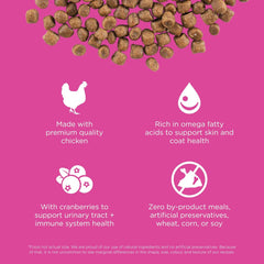 Go! Solutions Skin + Coat Care, Dry Cat Food, Chicken Recipe with Grains, 3 lb Bag