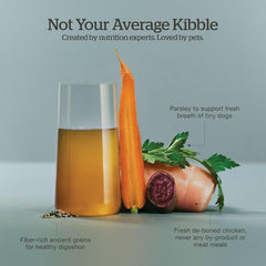 Now Fresh Good Gravy Premium Dry Dog Food with Chicken & Ancient Grains for Small Breeds, Healthy Kibble for Adults Coated in Bone Broth – Just Add Water to Moisten, Made with Real Meat