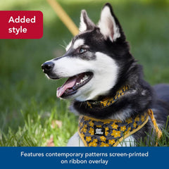 Coastal Pet - Ribbon - Adjustable Dog Collar with Metal Buckle, Brown Paws and Bones