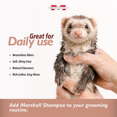 Marshall Pet Products Natural pH Balanced, Tearless Original Ferret Deodorizing Shampoo with Baking Soda, Baby Fresh Scent, 8 oz