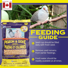Hagen Pigeon & Dove Seed, Original Formula Bird Food, 6 lb Bag – Nutritionally Complete Seed Mix with Vitamins & Minerals – Wild & Captive Bird Diet – Insect-Resistant Air-Tight Packaging