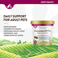NaturVet – Glucosamine DS Plus - Level 2 Moderate Care – Supports Healthy Hip & Joint Function – Enhanced with Glucosamine, MSM & Chondroitin – for Dogs & Cats–70 Soft Chews