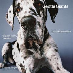 Now Fresh Grain-Free Large Breed Dry Dog Food with Turkey, Salmon & Duck Chicken-Free, Glucosamine & Chondroitin for Healthy Joints 25 lb