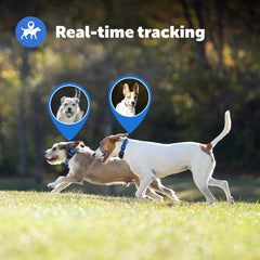 PetSafe Guardian GPS + Tracking Dog Fence Collar Pet Safe GPS Dog Collar Fence System, with App Waterproof Rechargeable Collar, Tracking for Dogs (Blue, Grey)