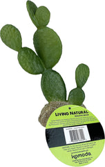 Multi Pet 48593322: Komodo Cactus Plant Prickly Pear, 6.3In