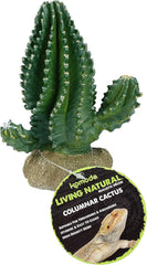 Multi Pet 48593320: Komodo Cactus Plant Columnar, 5.9In