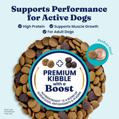 Solid Gold High Protein Dog Food Dry Dog Kibble - Premium Beef Protein & Digestive Probiotics for Energy, Muscle, Gut & Immune Support - Healthy Grain & Gluten Free Dogfood - Nutrientboost 22-lb