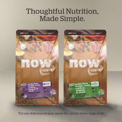 Now Fresh Grain-Free Dry Cat Food with Turkey, Salmon & Duck, Healthy Kibble for Adults Made with Real Meat & Fish, Chicken-Free, with Pumpkin & Probiotics for Sensitive Stomachs