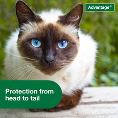 Advantage Cat Flea Treatment Spray | Kills Fleas & Ticks | Cat Flea Spray | 8 oz.