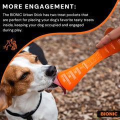 BIONIC Urban Stick Dog Toy, Large - Interactive Dog Chew Toy for Dogs