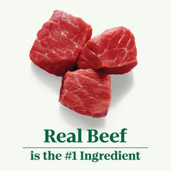 Nutro Natural Choice Adult Dry Dog Food, Beef and Brown Rice Recipe