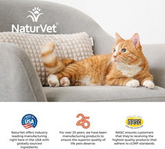 NaturVet Scoopables Cat Digestive Support - Digestive Enzymes for Cats with Probiotic - Supports Diet Change, Sensitive Stomachs & Healthy Digestive Tract - Salmon Flavored