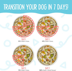 Weruva Meals 'n More Natural Wet Dog Food, Jammin' Salmon Plus Skin & Coat Health (Pack of 12)