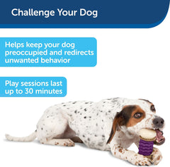 PetSafe Busy Buddy Nobbly Nubbly Treat Holding Dog Toy – Strong Chewers – Challenging - Treat Rings Included - Multi Color