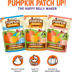 Weruva Pumpkin Patch Up! Pumpkin Pumpkin, What's Your Function? Variety Pack for Dogs & Cats, Pouch (Pack of 12)
