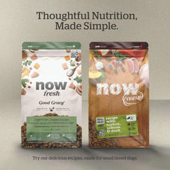 Now Fresh Good Gravy Premium Dry Dog Food with Salmon & Ancient Grains for Small Breeds, Healthy Kibble for Adults Coated in Bone Broth – Just Add Water to Moisten, Chicken-Free