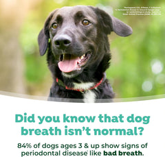 TropiClean Fresh Breath Water Additive for Dogs