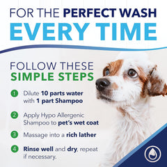 TropiClean OxyMed Hypoallergenic Dog Shampoo for Allergies and Itching, Skin Soothing Shampoo for Pets with Sensitive Skin