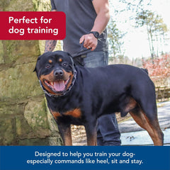 Titan - Coastal Pet Titan Dog Prong Training Collar - Rust-Resistant and Prong Metal Training Chain Collar for Dogs - Quality Supplies