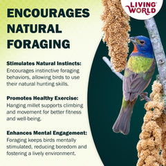 Living World – Millet Spray for Birds, 5 Pounds – Premium Treat for Budgies, Canaries, Finches, Cockatiels and Other Pet Birds