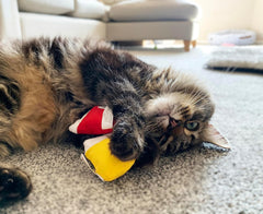 Yeowww! Jug of 6 Kitten Mittens, Catnip Toys for Cats 30PC, Organic Catnip, Multi Colour Cat Toys