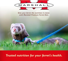 Marshall Pet Products Premium Ferret Diet Dry Food
