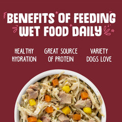 Weruva Classic Dog Food, Peking Ducken with Chicken Breast & Duck in Gravy