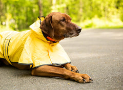 Fashion Pet Rainy Days Slicker - Yellow Dog Rain Jacket With Hood, Reflective Strip for Safety, Leash Hole & Adjustable Velcro Belly Strap, 100% Polyester Water Resistant Pet Raincoat