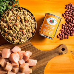 Fromm Four-Star Nutritionals Shredded Chicken in Gravy Entrée Dog Food - Premium Wet Dog Food - Chicken Recipe - Case of (12) 12 oz Cans