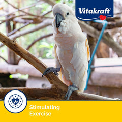 Vitakraft Crunch Sticks Parrot Treat - Apple and Honey - Pet Bird Treat Toy