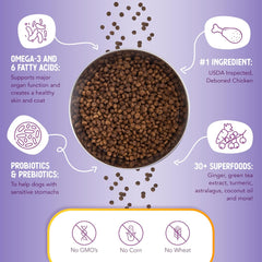 Health Extension Little Bites Chicken & Brown Rice Dry Dog Food - Natural with Probiotics and Superfoods for Teacup, Toy & Small Breeds