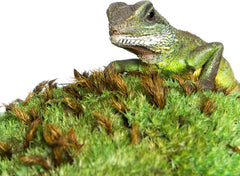 Galápagos (05254) Royal Clumps of Real Pillow, Natural