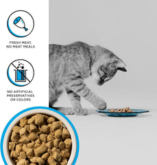 BIXBI Rawbble Freeze Dried Cat Food, Chicken & Salmon Recipe, 3.5 oz - 95% Meat and Organs, No Fillers - Pantry-Friendly Raw Cat Food for Meal, Treat or Food Topper - USA Made in Small Batches