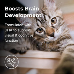 PetAg KMR 2nd Step Kitten Weaning Food - 14 oz - Powdered Kitten Weaning Formula with DHA, Natural Milk Protein, Vitamins & Minerals for Kittens 4-8 Weeks Old - Easy to Digest