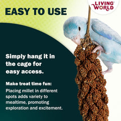 Living World - Millet Spray for Birds, Premium Treat for Budgies, Canaries, Finches, Cockatiels and Other Pet Birds