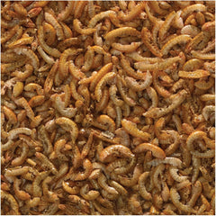 TetraMin Crisps Select-A-Food, Fish Food, Variety Pack (77037)