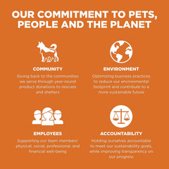 Go! Solutions Skin + Coat Care, Dry Dog Food, Salmon Recipe with Grains