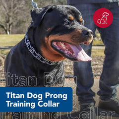 Titan - Coastal Pet Titan Dog Prong Training Collar - Rust-Resistant and Prong Metal Training Chain Collar for Dogs - Quality Supplies